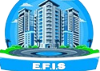 EFIS-removebg-preview