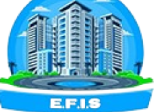 EFIS-removebg-preview